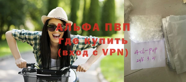 индика Сатка