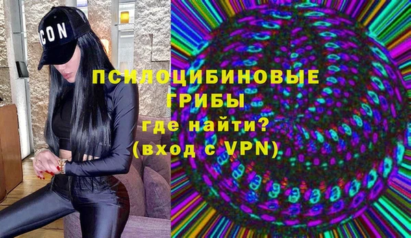 мяу мяу мука Аркадак