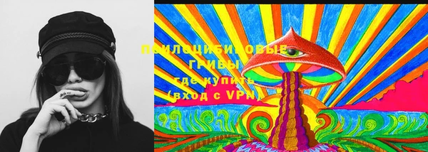 мяу мяу мука Аркадак