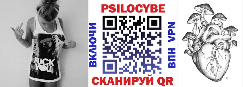 Галлюциногенные грибы Psilocybe  Тавда 